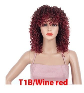 Multicolor African Small Roll Afro Wig