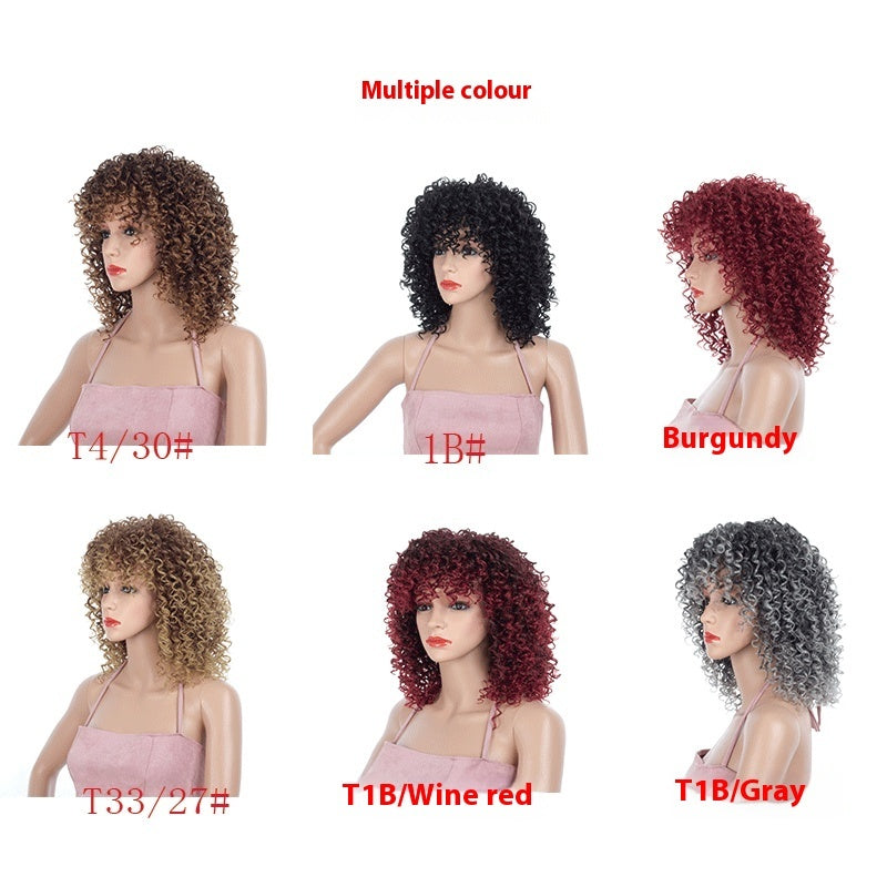 Multicolor African Small Roll Afro Wig