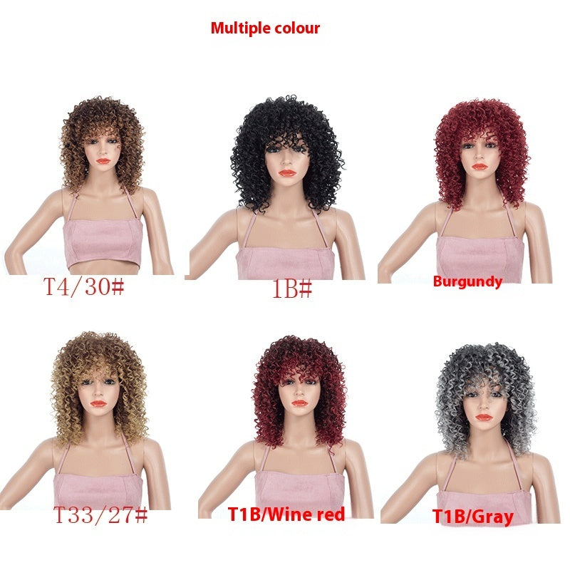 Multicolor African Small Roll Afro Wig