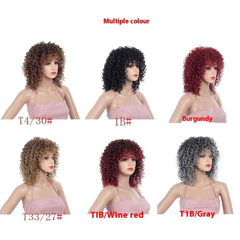 Multicolor African Small Roll Afro Wig