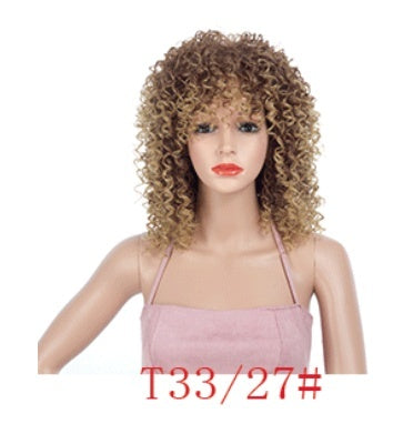 Multicolor African Small Roll Afro Wig