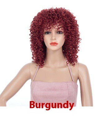Multicolor African Small Roll Afro Wig