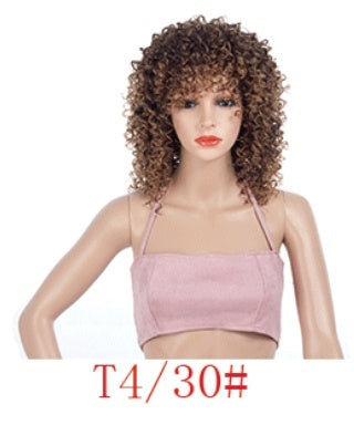 Multicolor African Small Roll Afro Wig