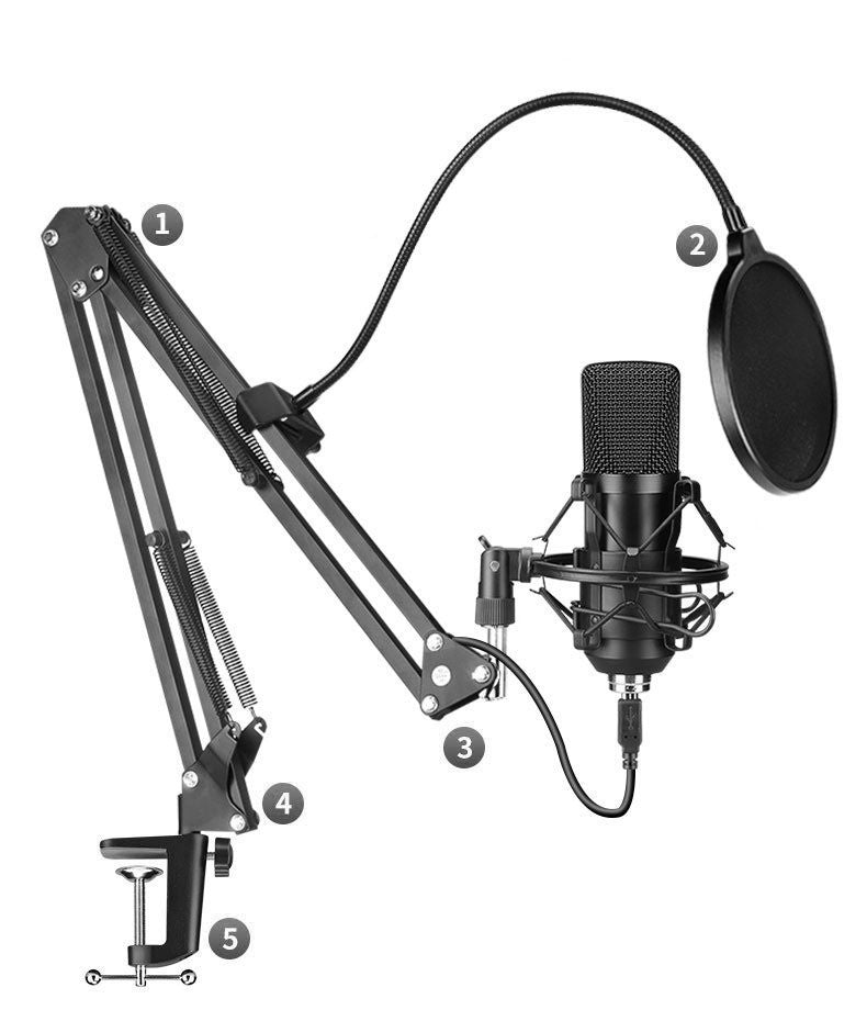 Adjustable Microphone Set